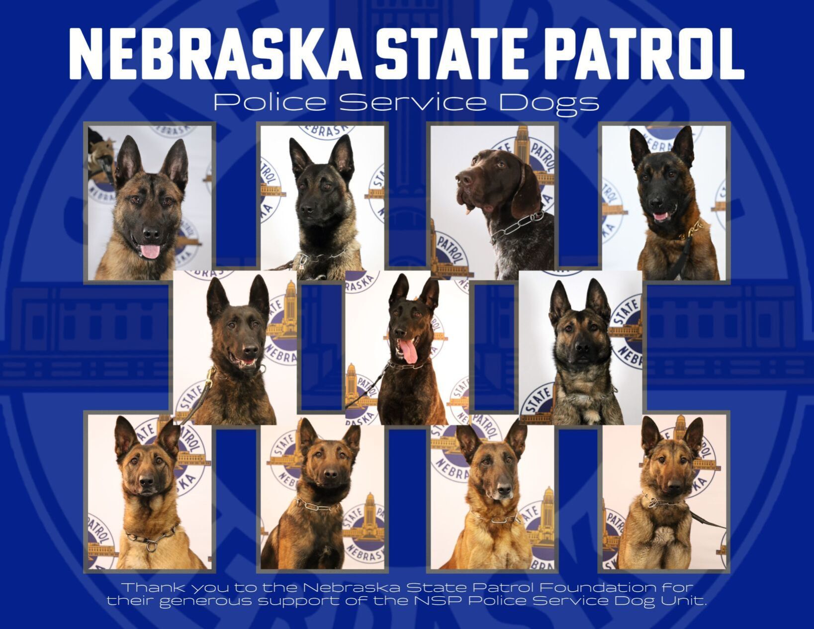 112521-owh-new-k9calendar